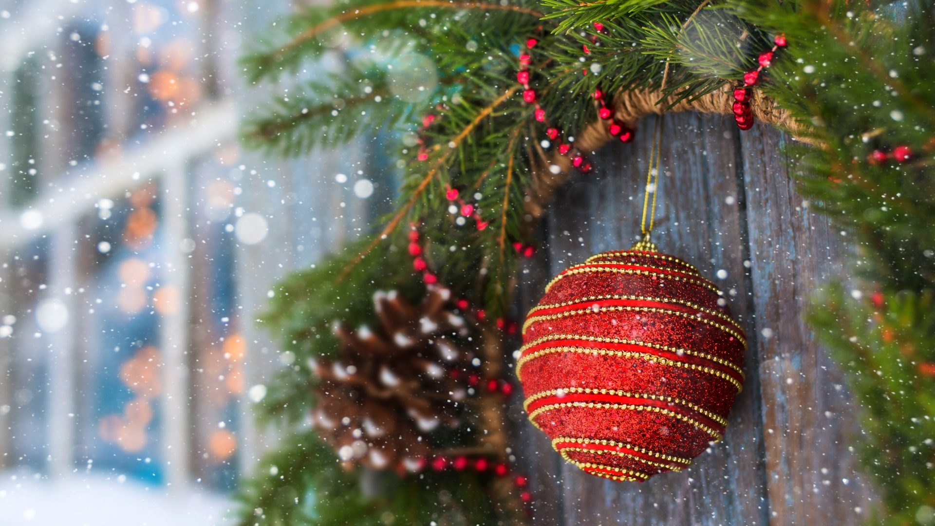 Cosy at Christmas with Harringtons